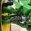 john-deere-8r-370-image-55