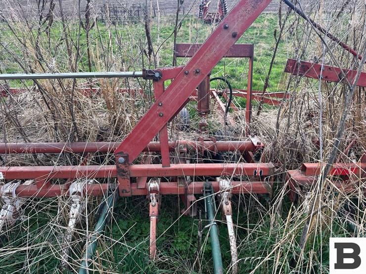 international-45-image-14