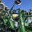 john-deere-6000-image-29