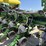 john-deere-s680-image-24