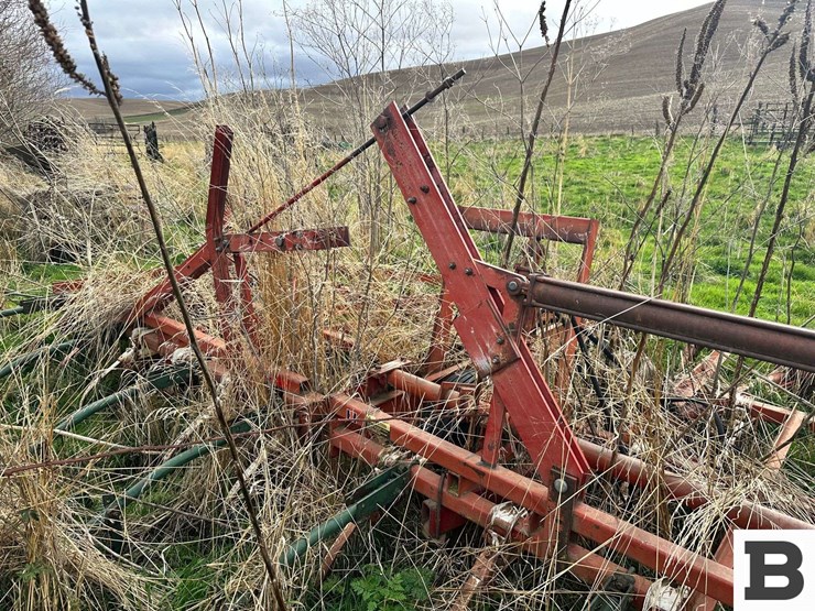 international-45-image-16