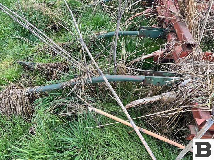 international-45-image-12