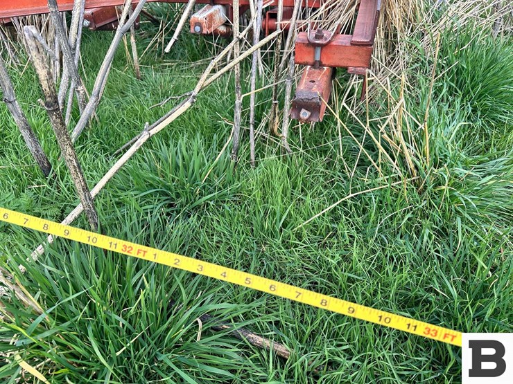 international-45-image-31