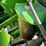 2017-john-deere-1775nt-image-19