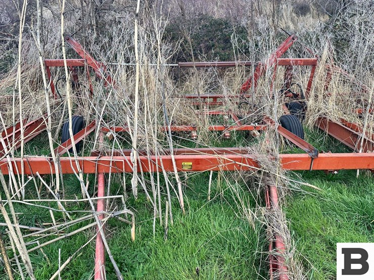 international-45-image-8