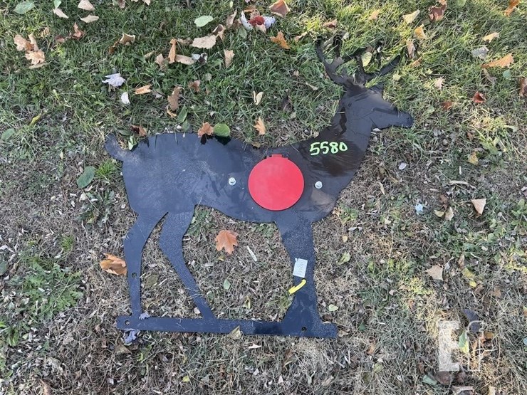 shooting-target-image-2