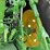john-deere-8r-250-image-25