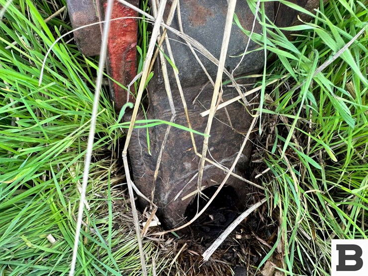 international-45-image-3