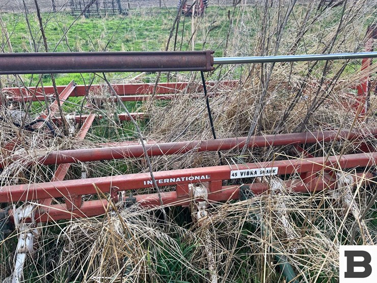 international-45-image-15