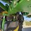 john-deere-616r-image-37