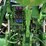 john-deere-8370rt-image-27