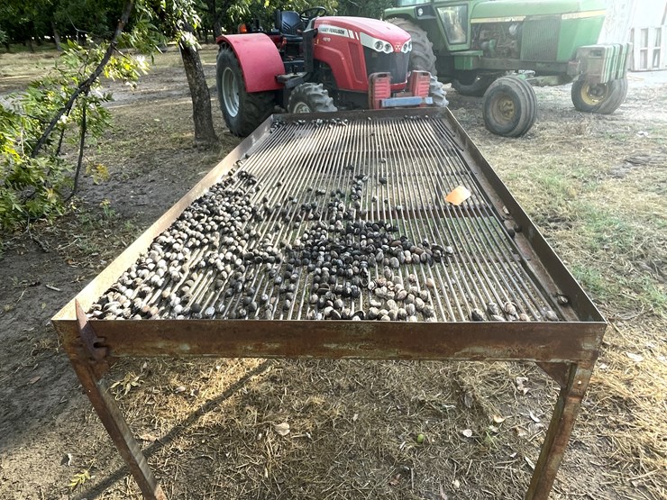 #3732-•-pecan-sorting-table-image-5