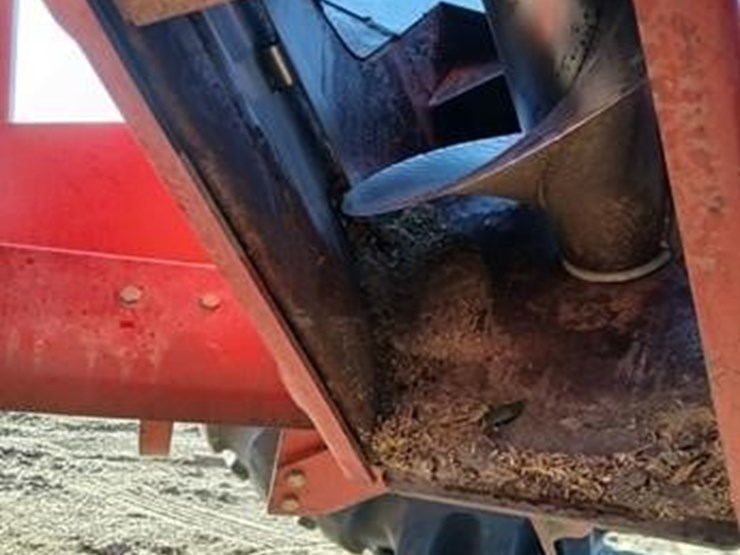 sunflower-8782-image-5