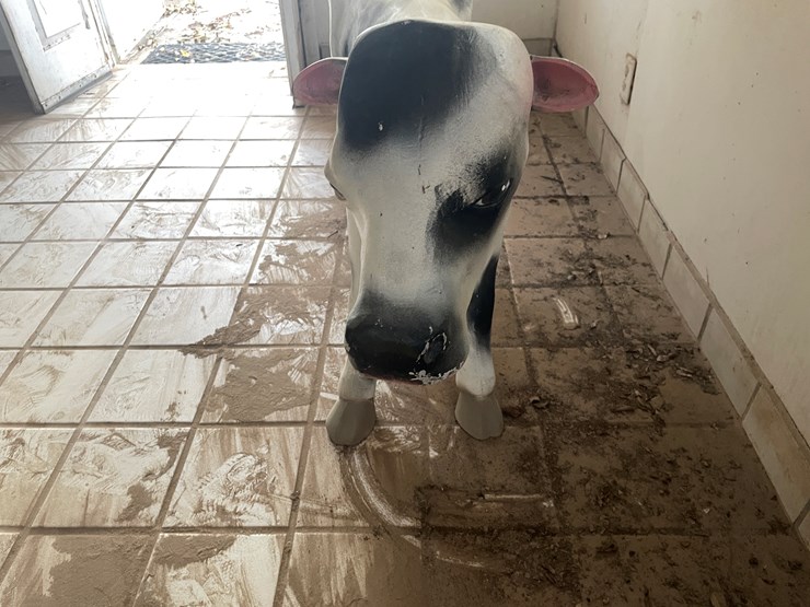 #3736-•-painted-metal-cow-image-8