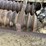 #3657-•-custom-hitch-pull-seeder-image-6
