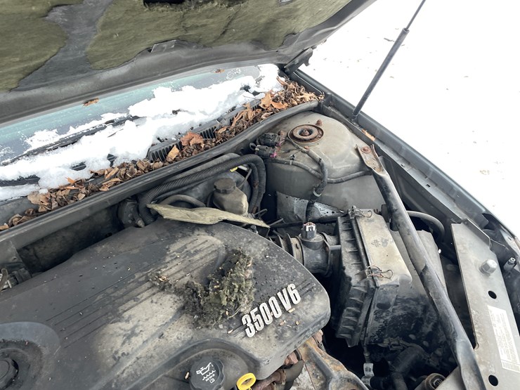 #1173-•-2008-chevrolet-impala-ls-(has-mn-title)-image-30