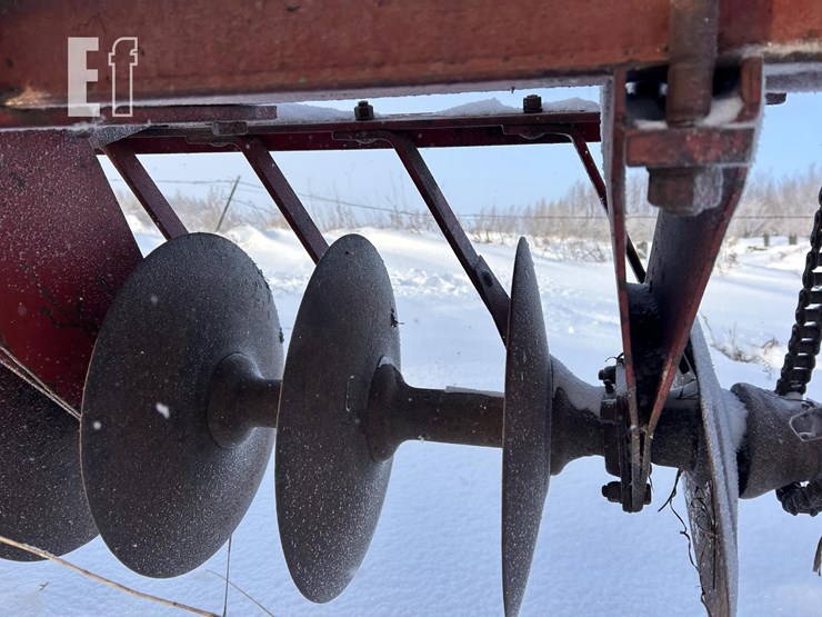 international-14-image-14