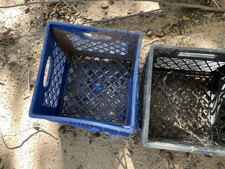 #3656-•-lot-of-crates-and-mini-trash-bin-image-8