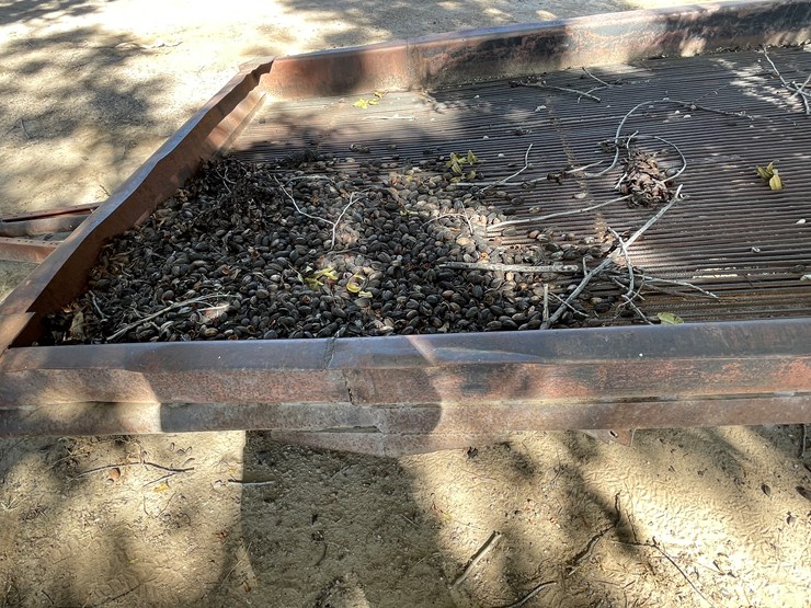 custom-trailer-image-26