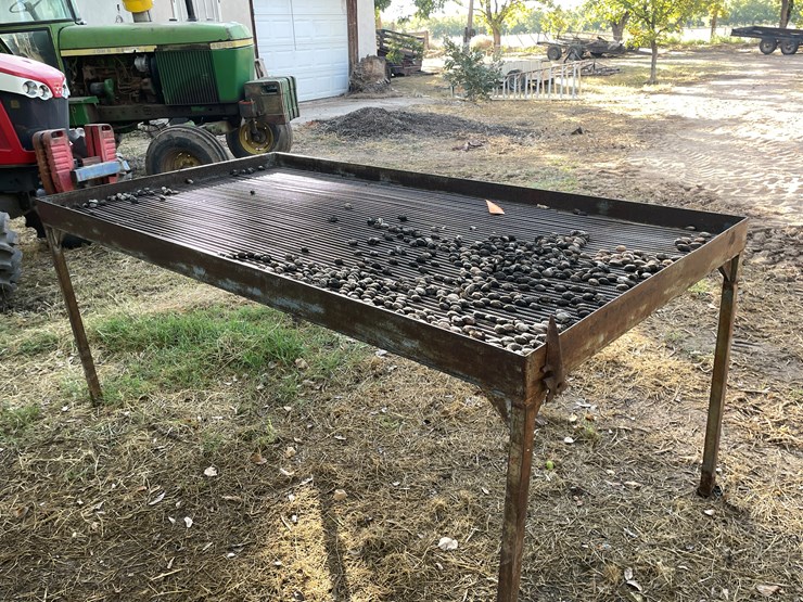 #3732-•-pecan-sorting-table-image-4