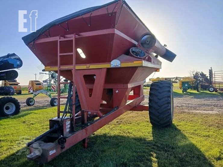 sunflower-8782-image-3