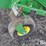 john-deere-l341-image-14