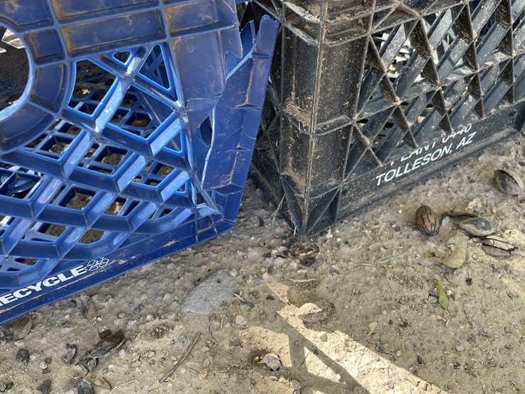 #3656-•-lot-of-crates-and-mini-trash-bin-image-10