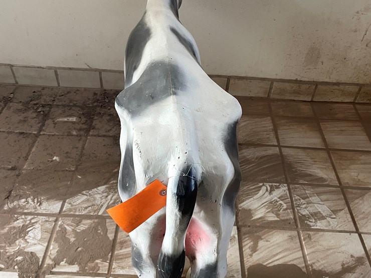 #3736-•-painted-metal-cow-image-4