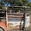 #3671-•-horse/cattle-tandem-axle-trailer-(no-title)-image-37