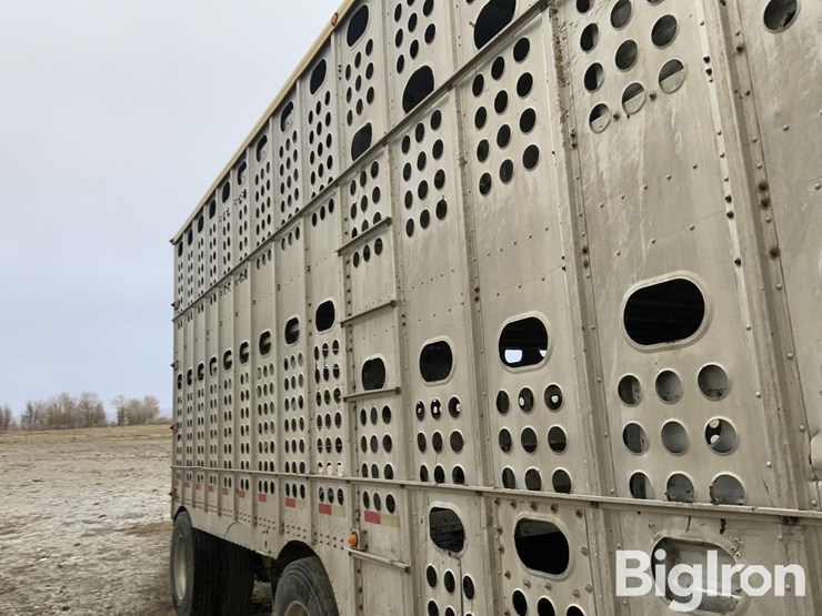 merritt-gold-line-image-17