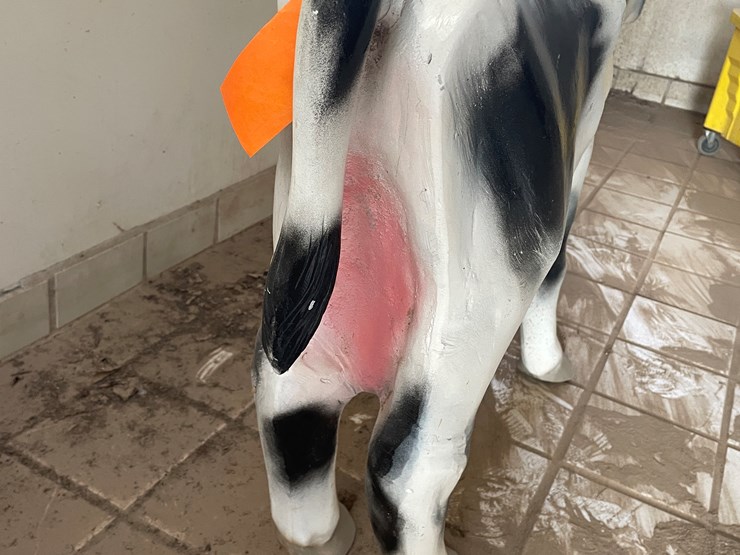 #3736-•-painted-metal-cow-image-9