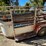 #3671-•-horse/cattle-tandem-axle-trailer-(no-title)-image-13