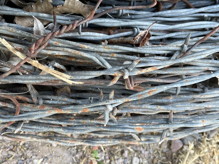 #3725-•-barbed-wire-image-10