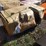 unused-irgc40-2-seater-mini-golf-cart-image-1