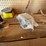 #3672-•-tools-and-large-wooden-table-image-6