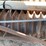 #3657-•-custom-hitch-pull-seeder-image-14