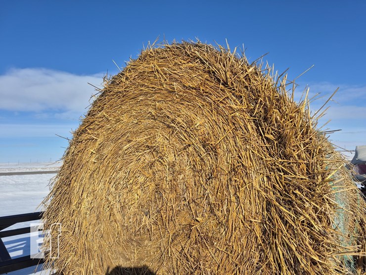 420x-2025-oats-hay-bales-image-1