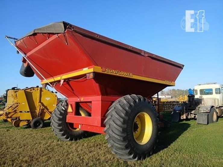 sunflower-8782-image-2