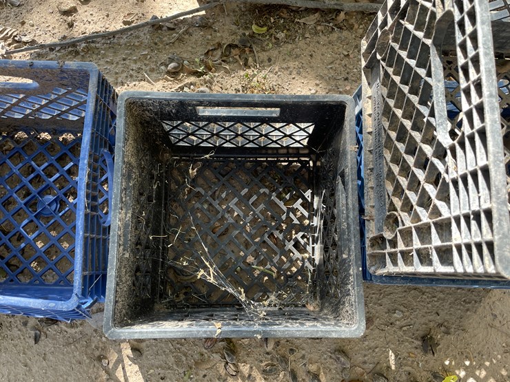 #3656-•-lot-of-crates-and-mini-trash-bin-image-7