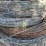 #3725-•-barbed-wire-image-3