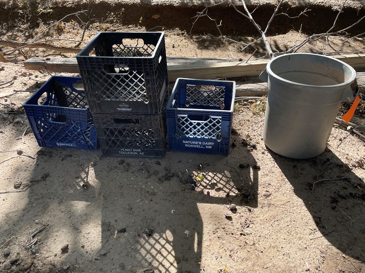 #3656-•-lot-of-crates-and-mini-trash-bin-image-1