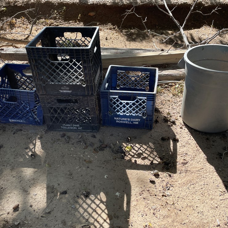 #3656 • Lot of Crates and Mini Trash Bin