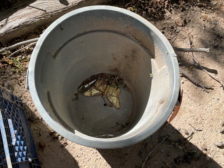 #3656-•-lot-of-crates-and-mini-trash-bin-image-4