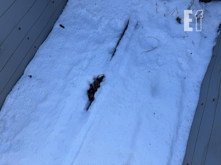 hagedorn-hydra-spread-extravert-5440-image-58