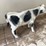 #3736-•-painted-metal-cow-image-5
