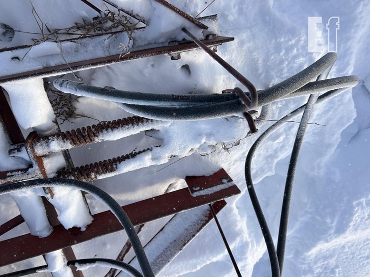 international-14-image-17