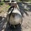 #3726-•-250-gallon-propane-tank-image-2