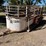 #3671-•-horse/cattle-tandem-axle-trailer-(no-title)-image-1
