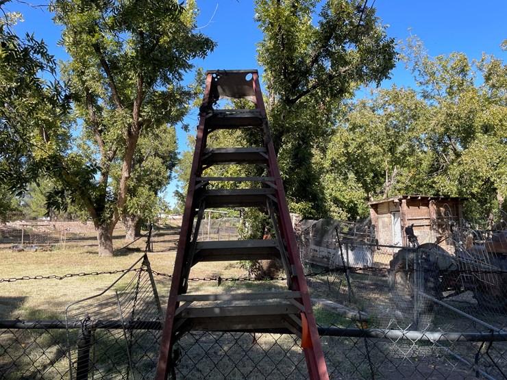 #3705-•-10'-step-ladder-image-4