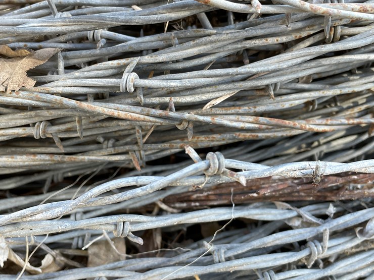 #3725-•-barbed-wire-image-8